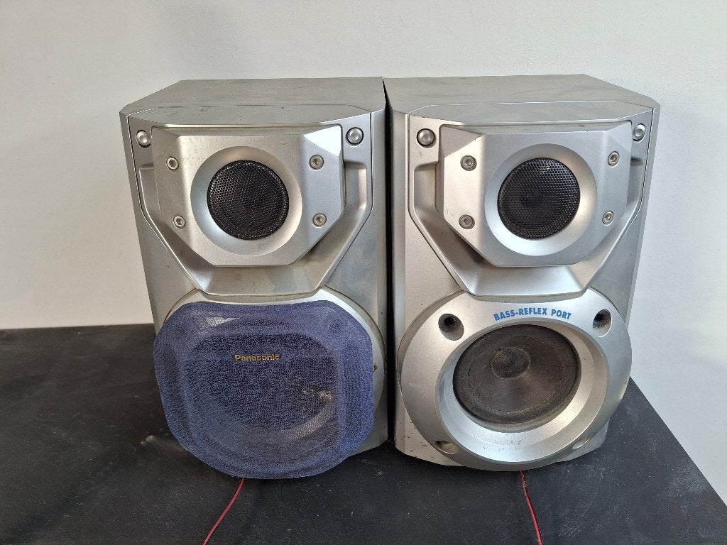 Panasonic SB-AK22 luidsprekers – 100W, 6 Ohm, Audio, Tv en Foto, Luidsprekerboxen, Ophalen, Gebruikt, 60 tot 120 watt