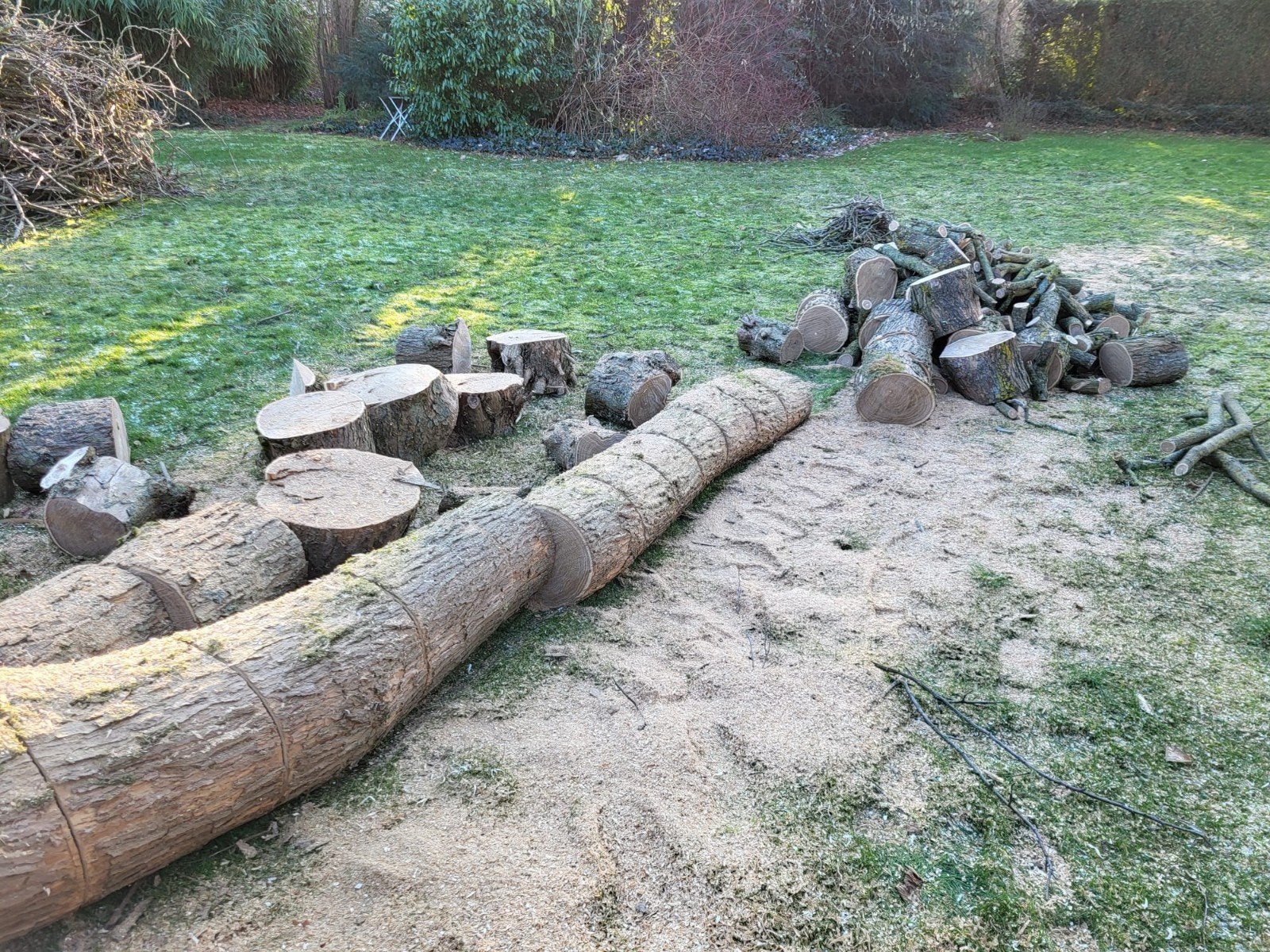 Bomen snoeien en vellen & Hagen scheren, Ophalen, Zo goed als nieuw