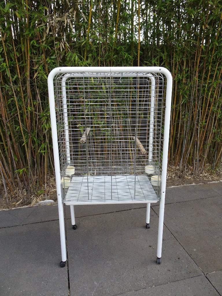 papegaaienkooi, Dieren en Toebehoren, Ophalen, Gebruikt, Metaal, Vogelkooi