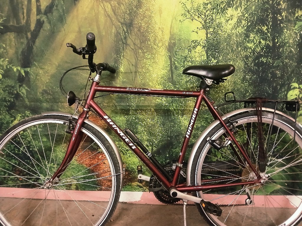 Ranger bologna, Frein sur jante, 57 à 61 cm, Enlèvement, Utilisé