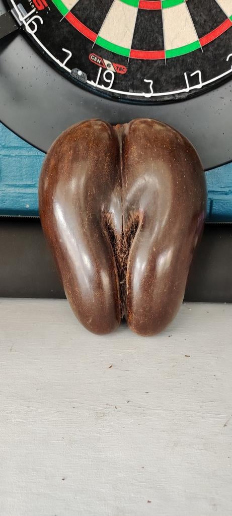 Coco de mer, Ophalen