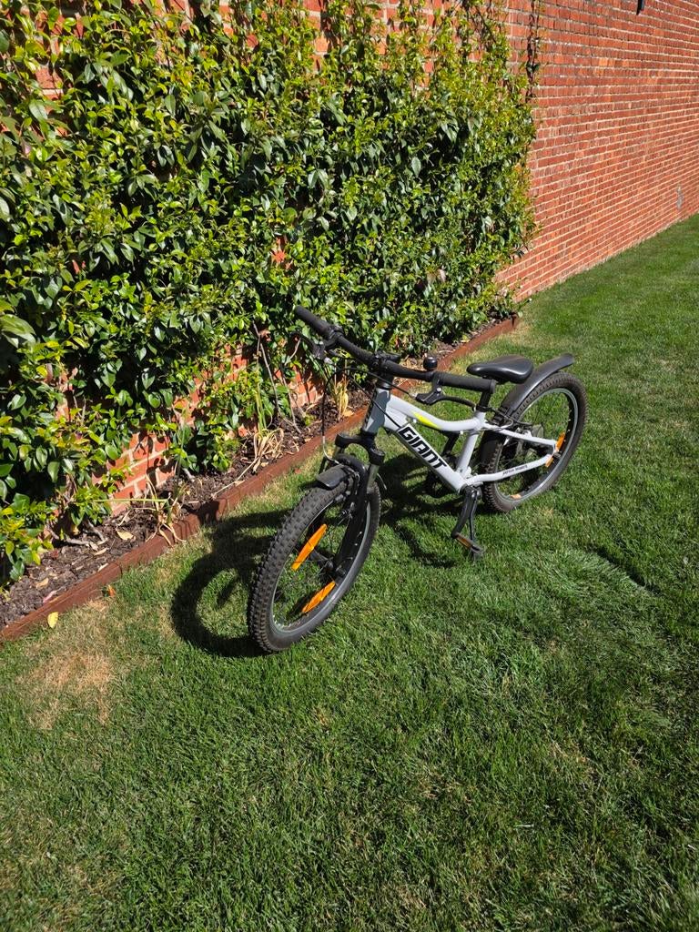Kinderfiets Giant XtC Jr 20, Fietsen en Brommers, Ophalen