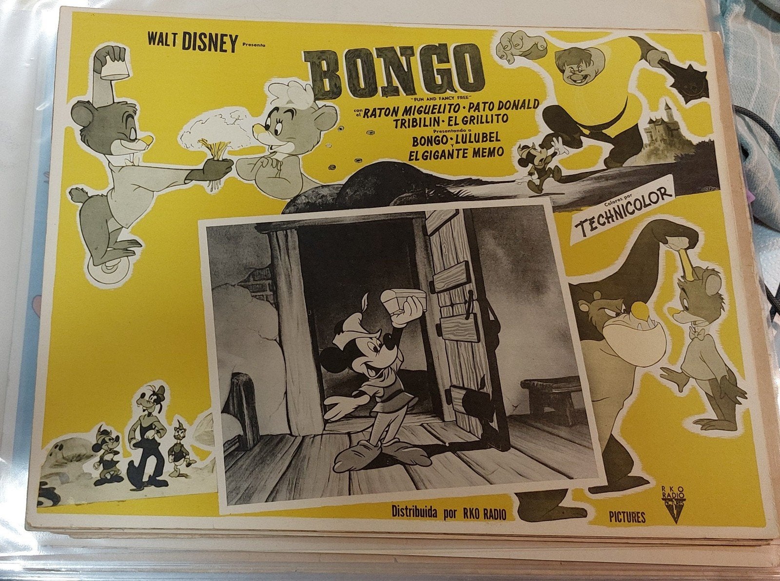 Spaanse lobbykaart Bongo 1947, Ophalen