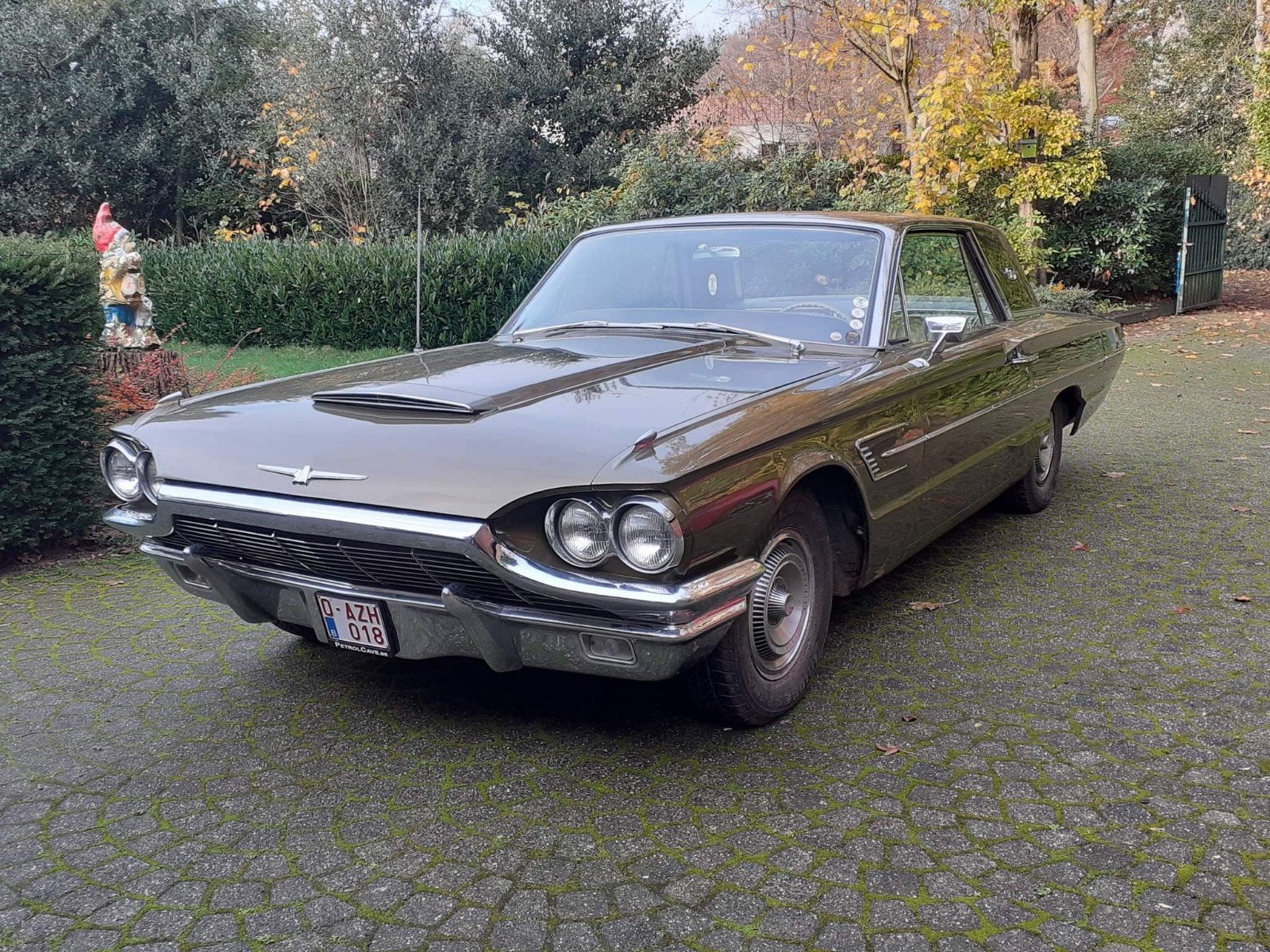 Ford thunderbird 1965, Autos, Cuir, Autres modèles, Achat, 6300 cm³
