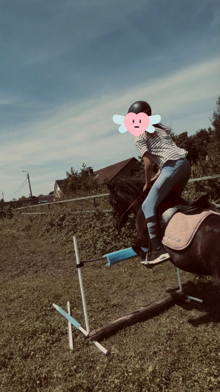 Bijrijd/verzorg pony gezocht, Dieren en Toebehoren, Ophalen of Verzenden, Zo goed als nieuw