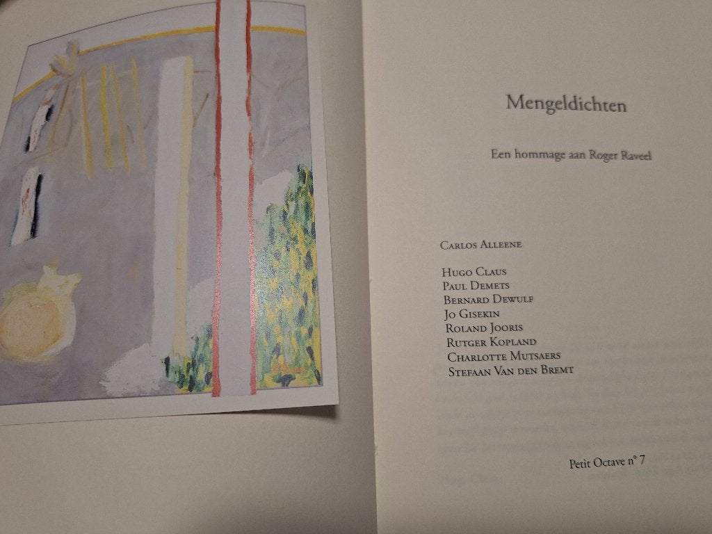 “Mengeldichten. Een hommage aan Roger Raveel”, Ophalen of Verzenden