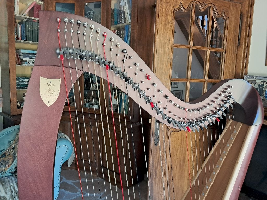 Tekoop harp met klepjes OGDEN Lyon Healy met darmsnaren +tas, Muziek en Instrumenten, Ophalen, Zo goed als nieuw