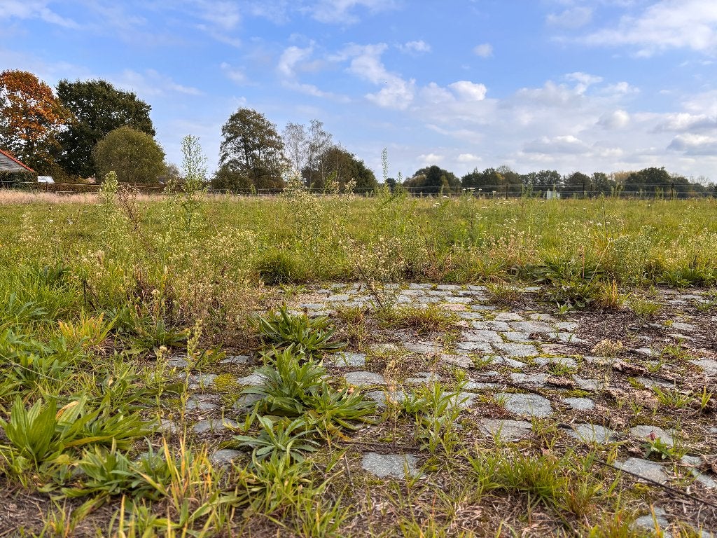 Weide/stalling voor 2 pony's – ca. 3.900 m², Mise à l'étable, 2 ou 3 chevaux ou poneys
