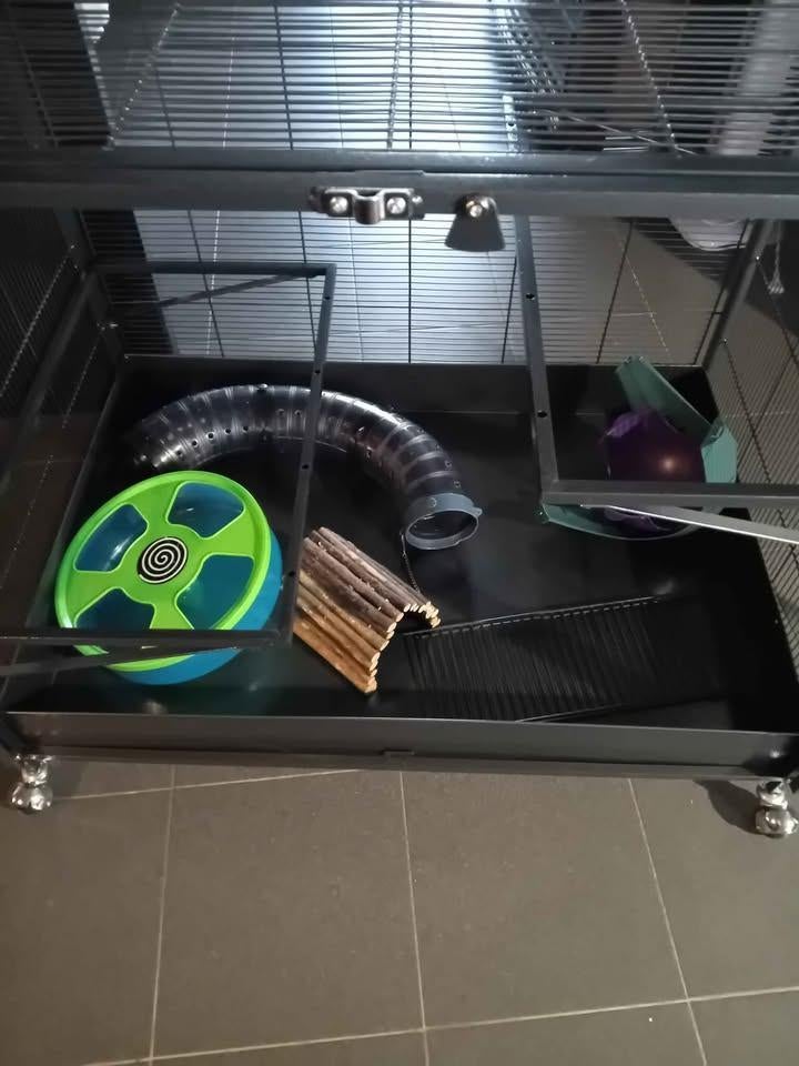 grote kooi, Ophalen, Nieuw, Kooi, Fret