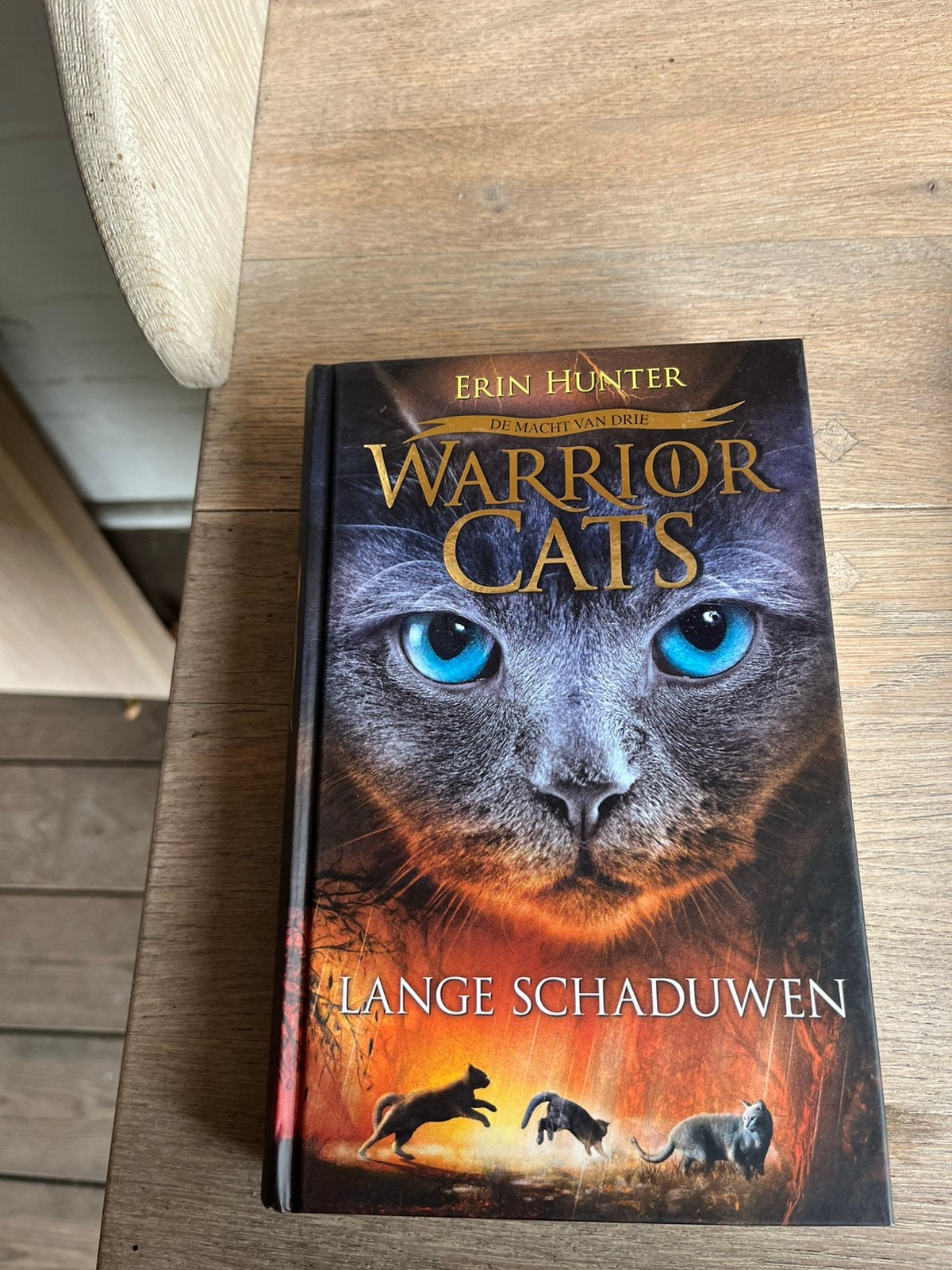 Warrior Cats Erin Hunter, Ophalen of Verzenden, Zo goed als nieuw