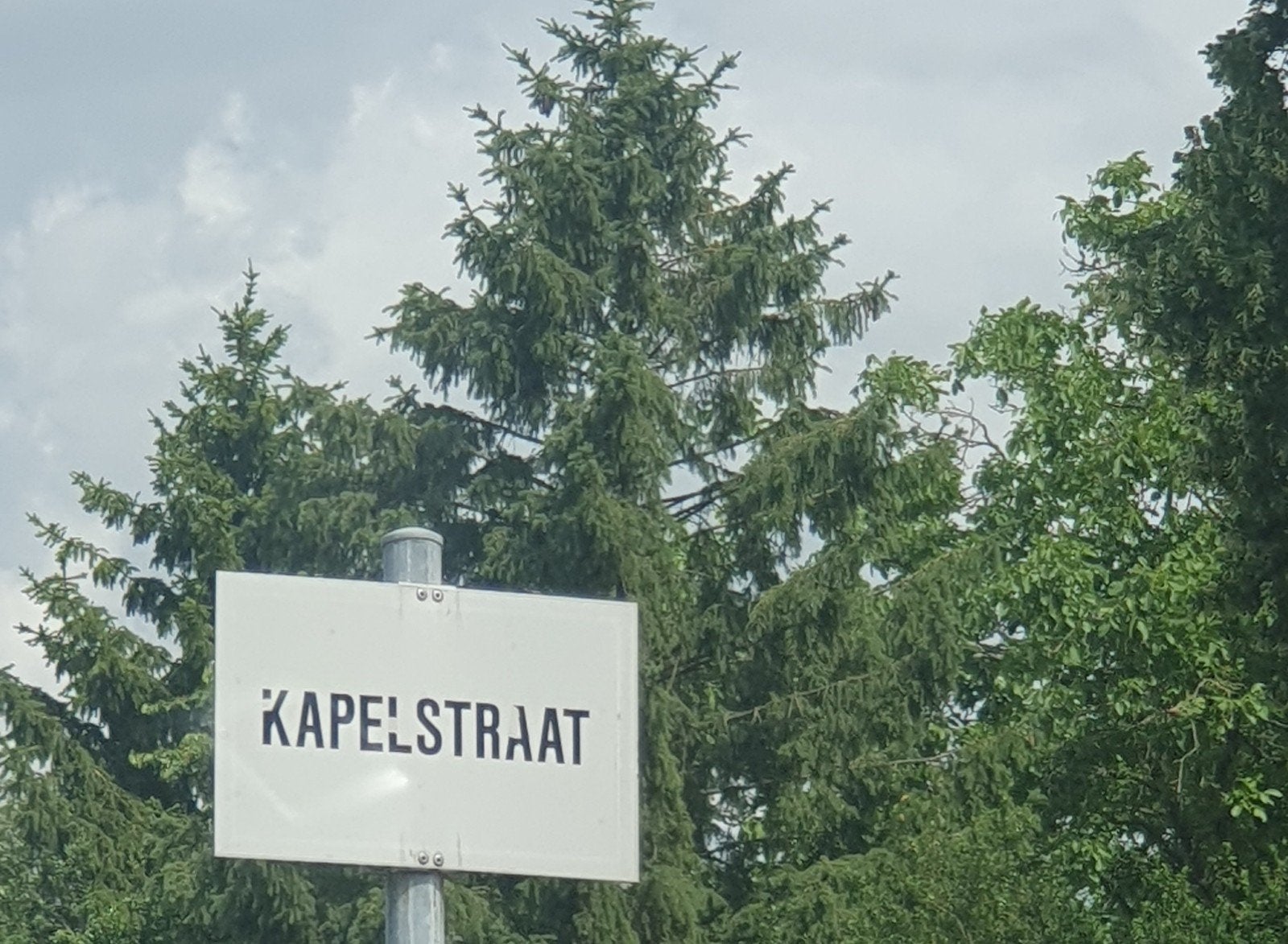 699m2 bouwgrond te koop /pulderbos,in een doodlopende straat, Immo