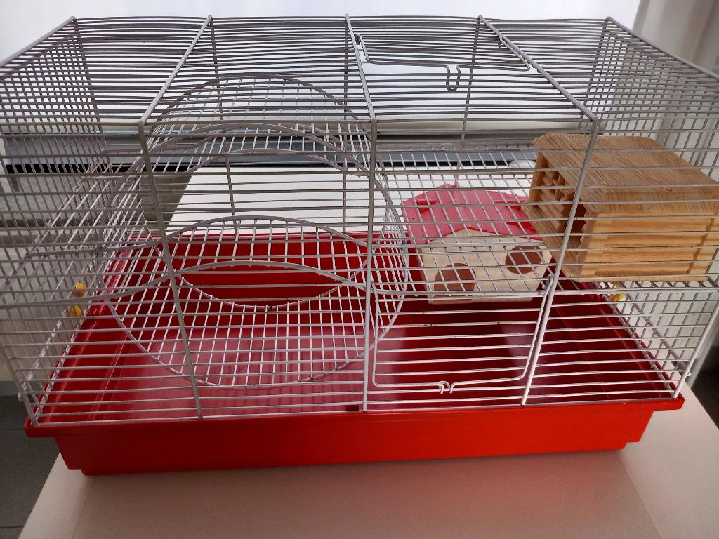 cage pour petit rongeur (hamster), Dieren en Toebehoren, Kooi, Gebruikt, Minder dan 75 cm, Hamster