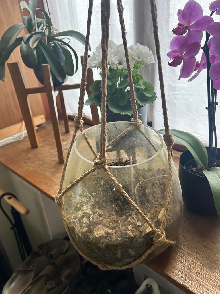 Planten hanger bloempot, Enlèvement, Comme neuf