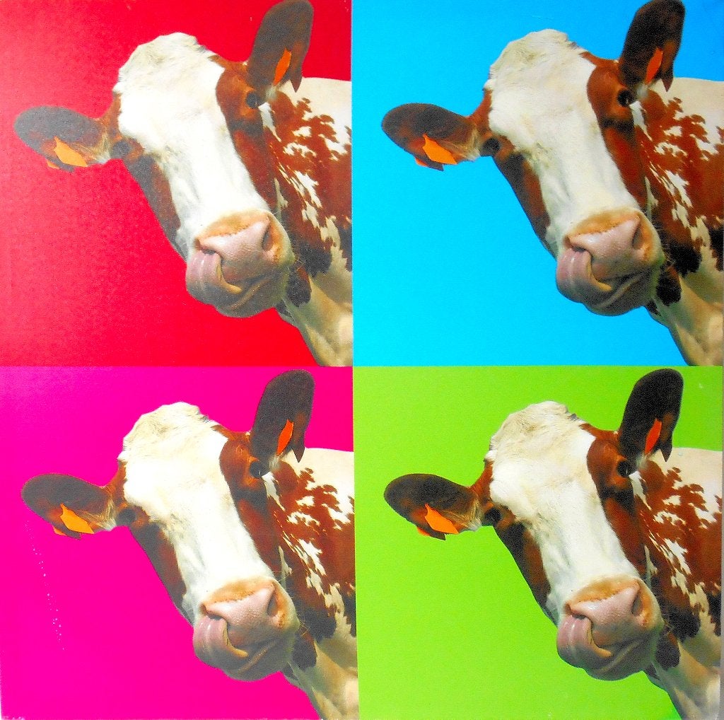 Pop Art koe op canvas, Gebruikt, Meerkleurig, Decoratieobject, Ophalen of Verzenden