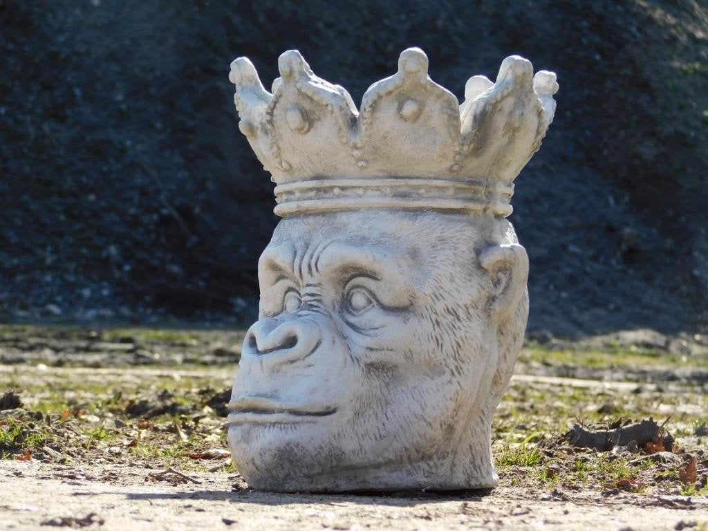gorilla, Ophalen of Verzenden, Nieuw, Steen, Binnen