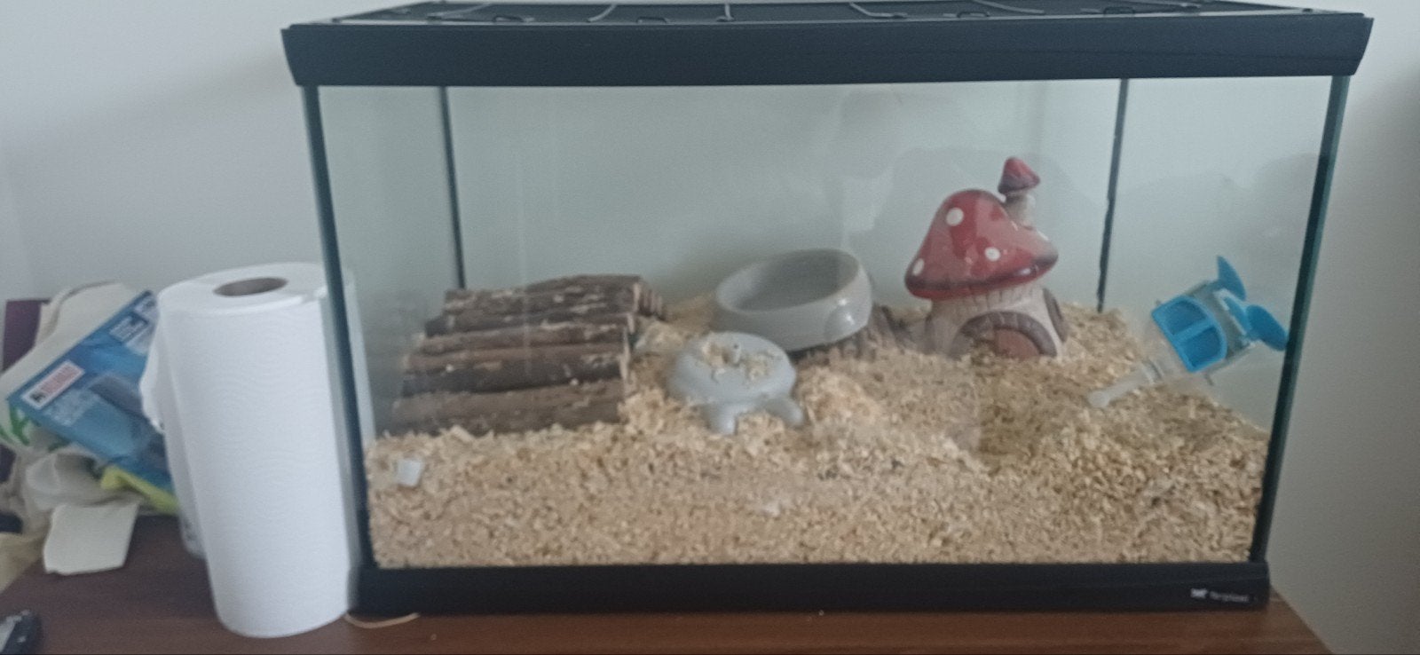 hamsterkooi + benodigdheden, Dieren en Toebehoren, Ophalen, Kooi