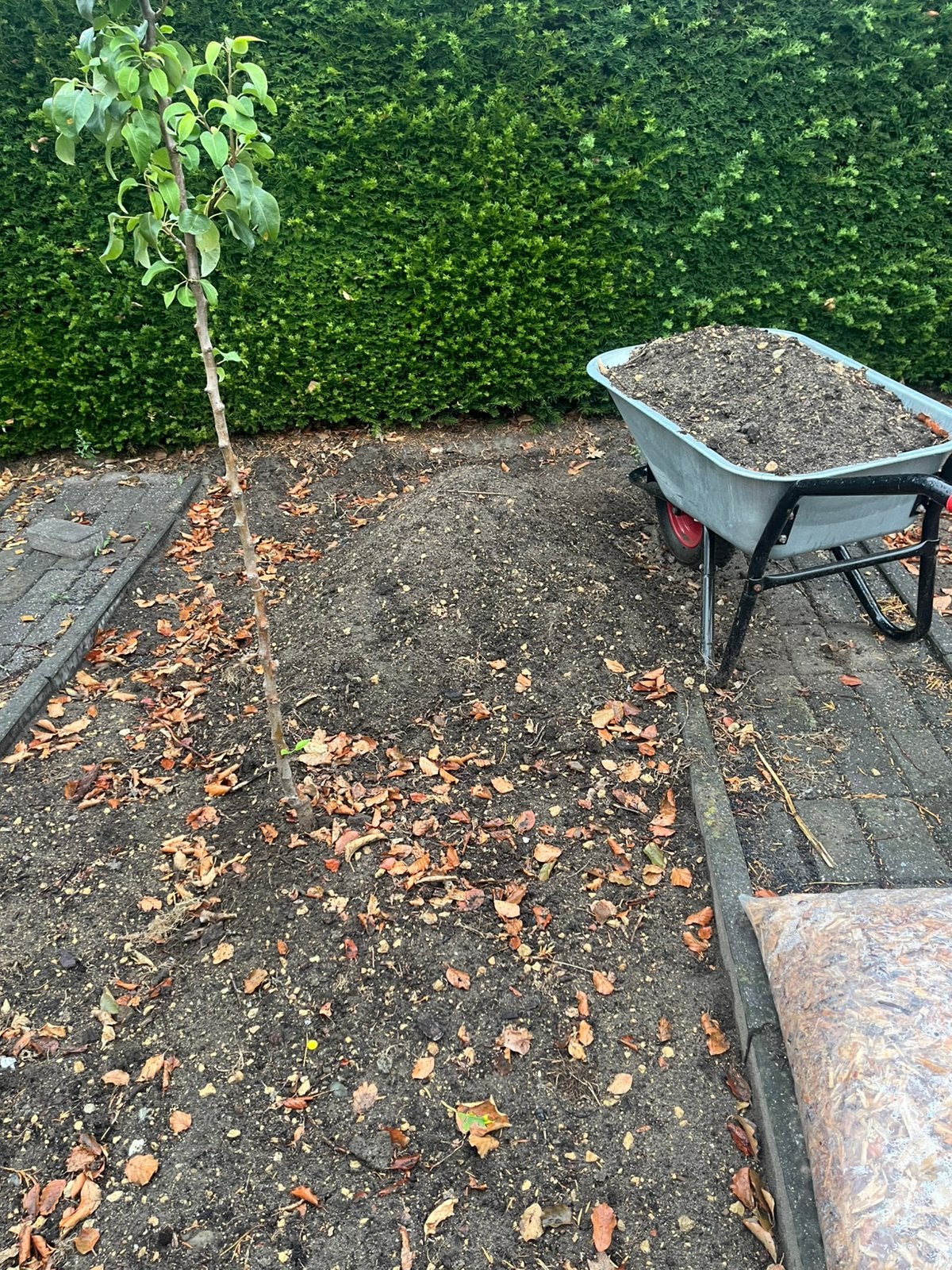 Zwart zand (+/- 0,5 m3), Tuin en Terras, Zand, Ophalen, Gebruikt, Overige typen