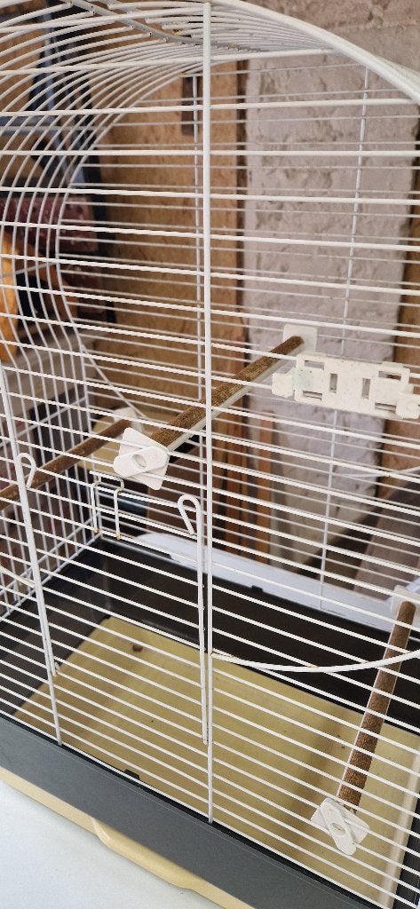 vogelkooi, Enlèvement, Comme neuf, Accessoires pour cage