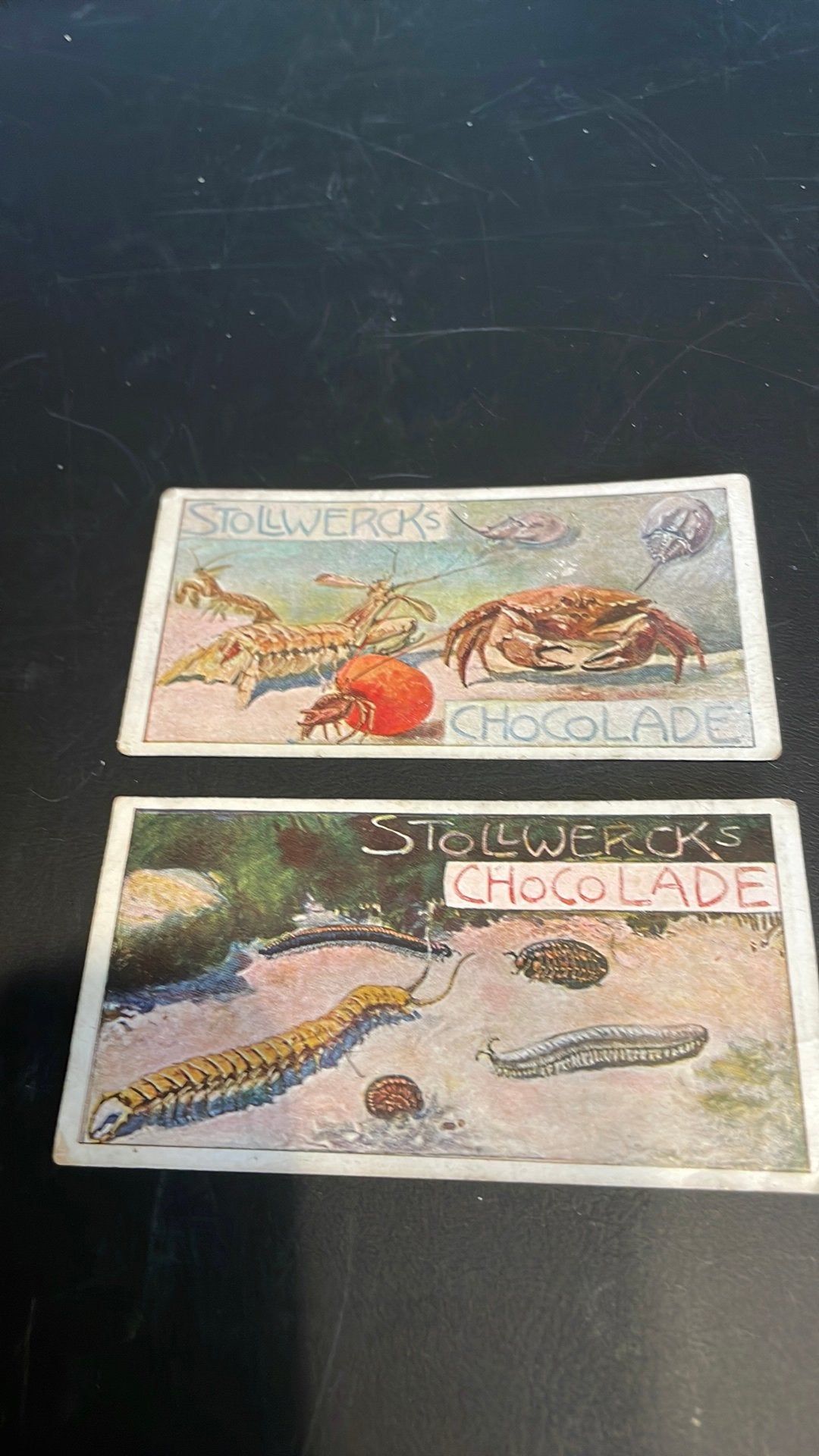 Stollwerck chromo groep 35(x3a), Verzamelen, Gebruikt, Ophalen of Verzenden, 1940 tot 1960, Dier