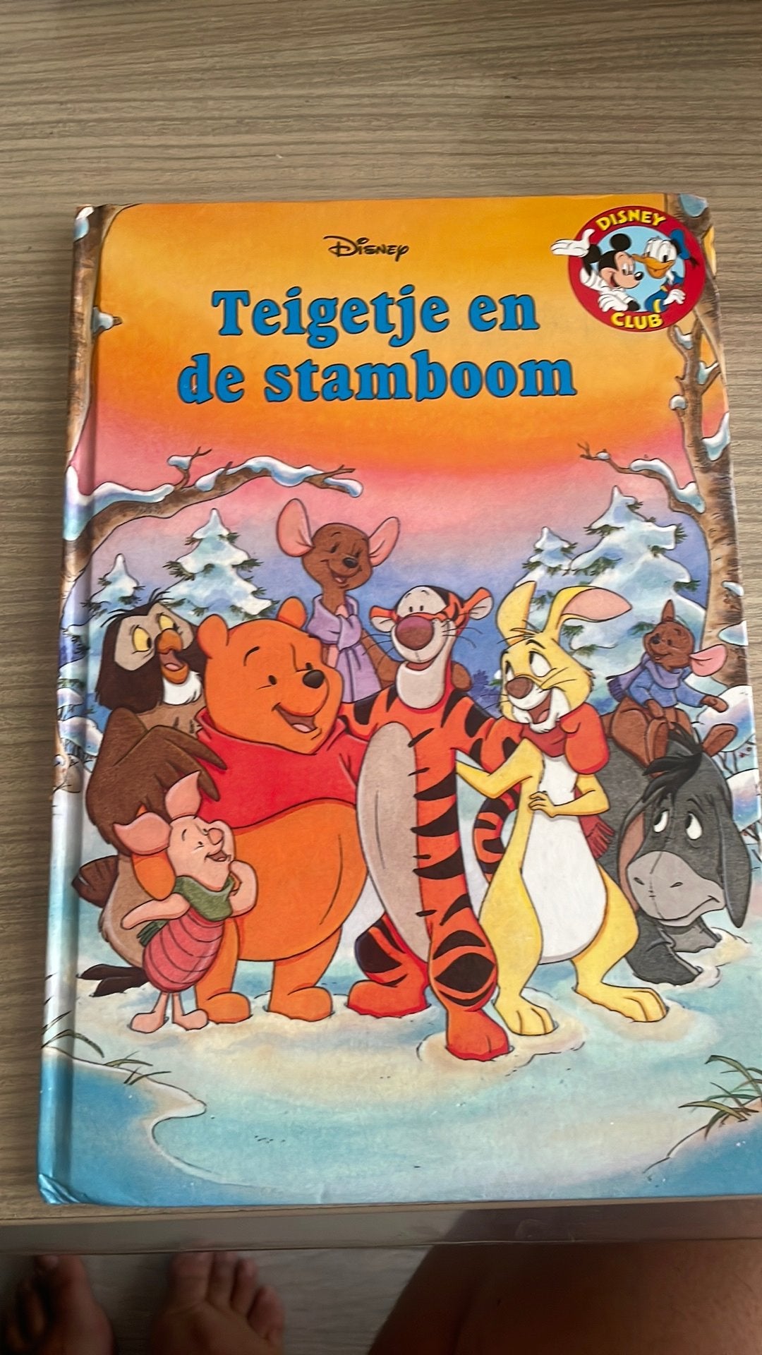 Teigetje en de stamboom, Ophalen, Zo goed als nieuw