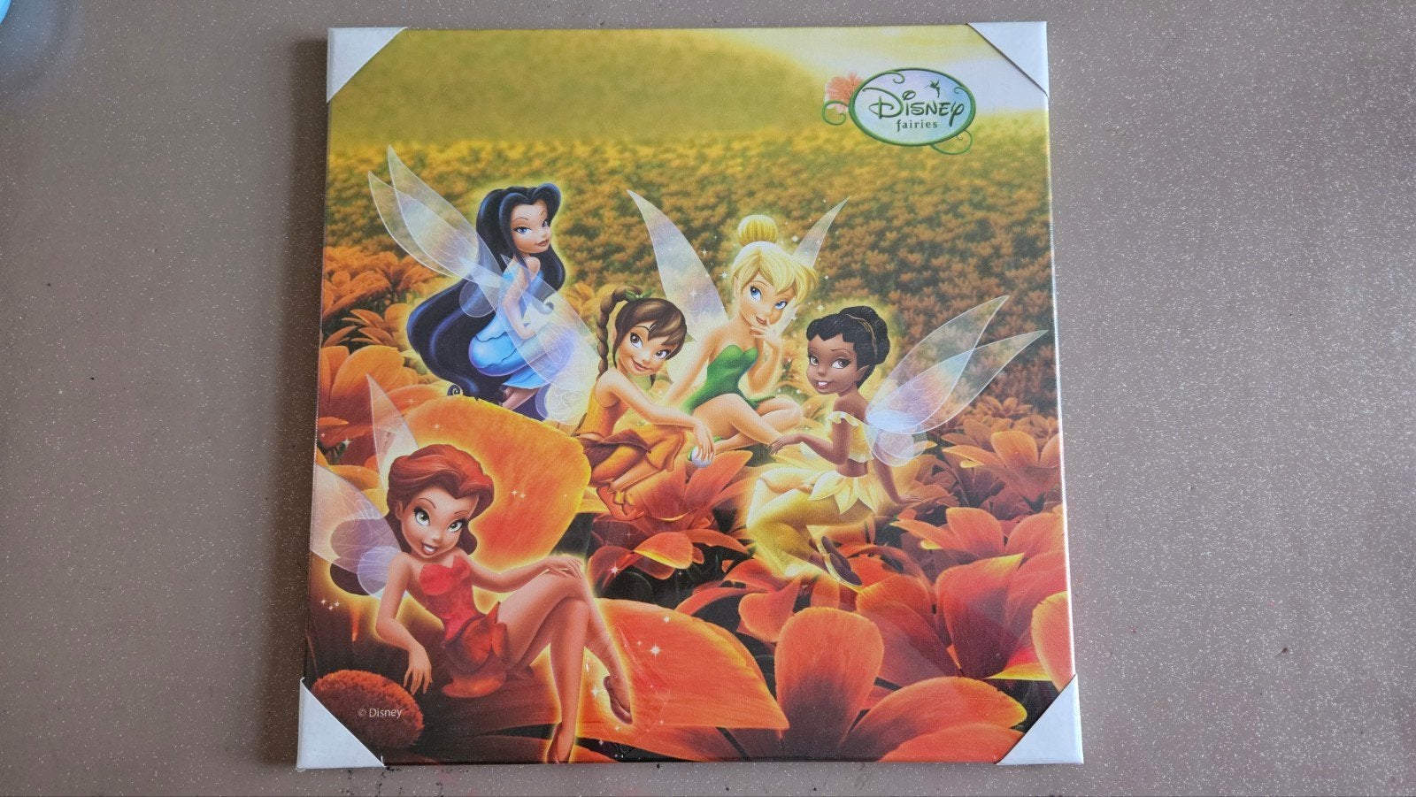 Cadre image Disney Fairies, Maison & Meubles, Neuf, Enlèvement, Bois, Cadre tableau