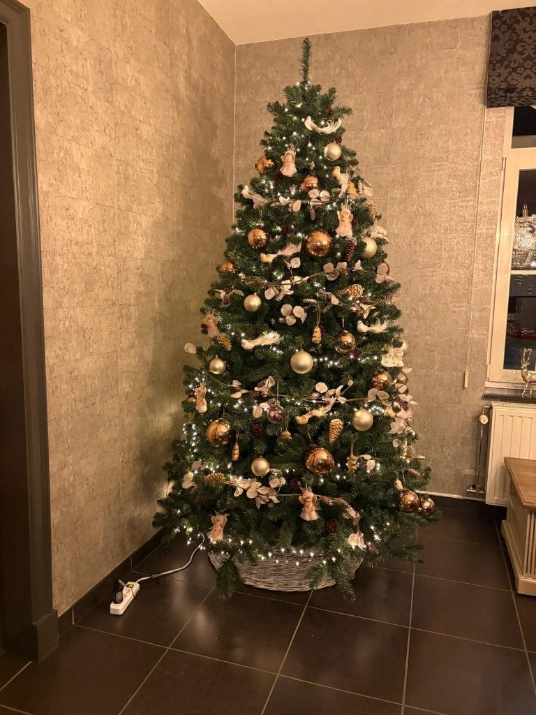 kerstboom, Diversen, Ophalen