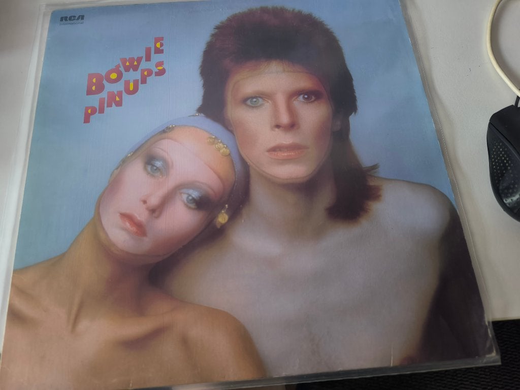 lp david bowie pinups, Enlèvement ou Envoi, Comme neuf, LP