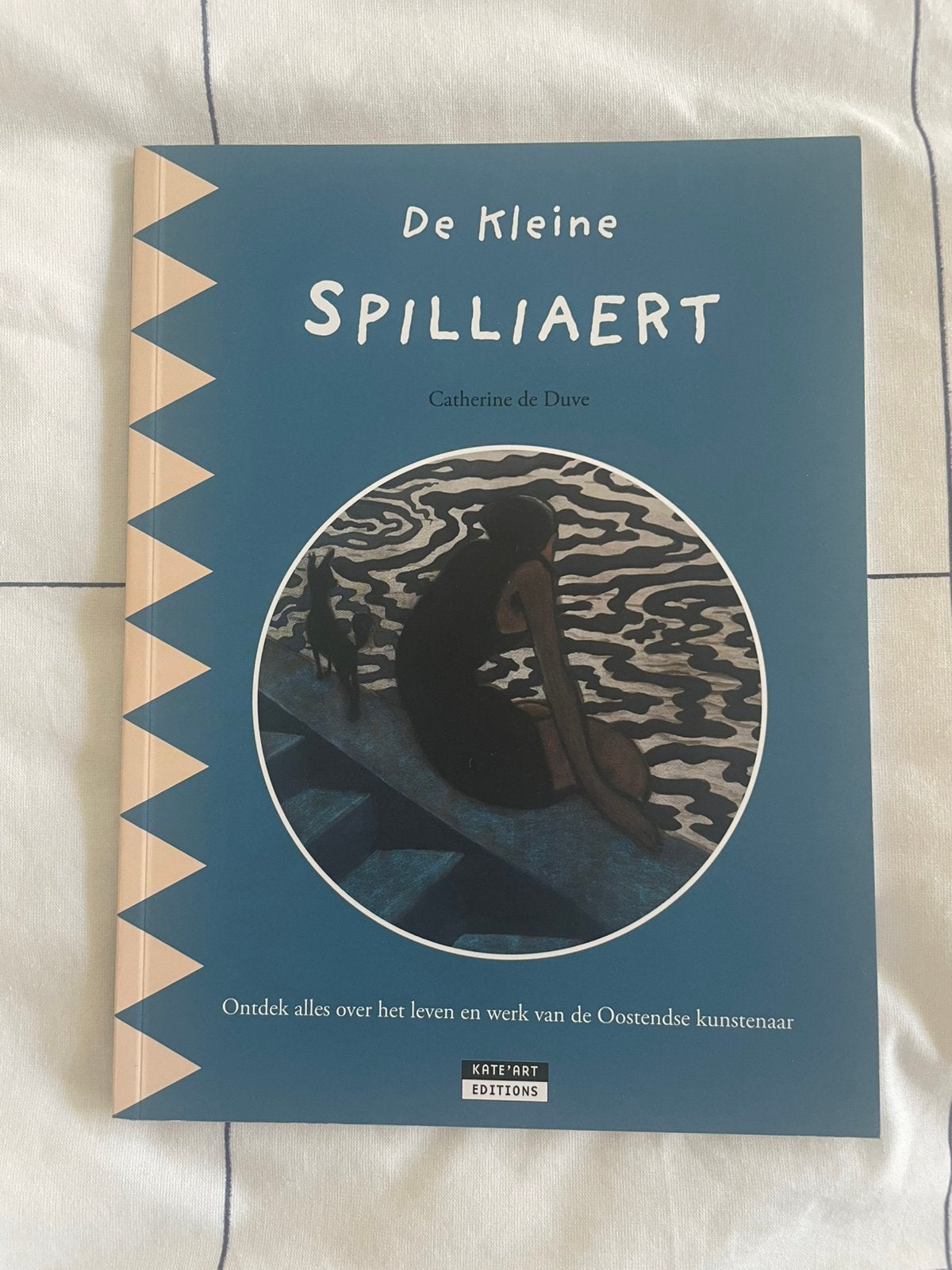 De kleine Spilliaert, Ophalen of Verzenden, Zo goed als nieuw, Schilder- en Tekenkunst