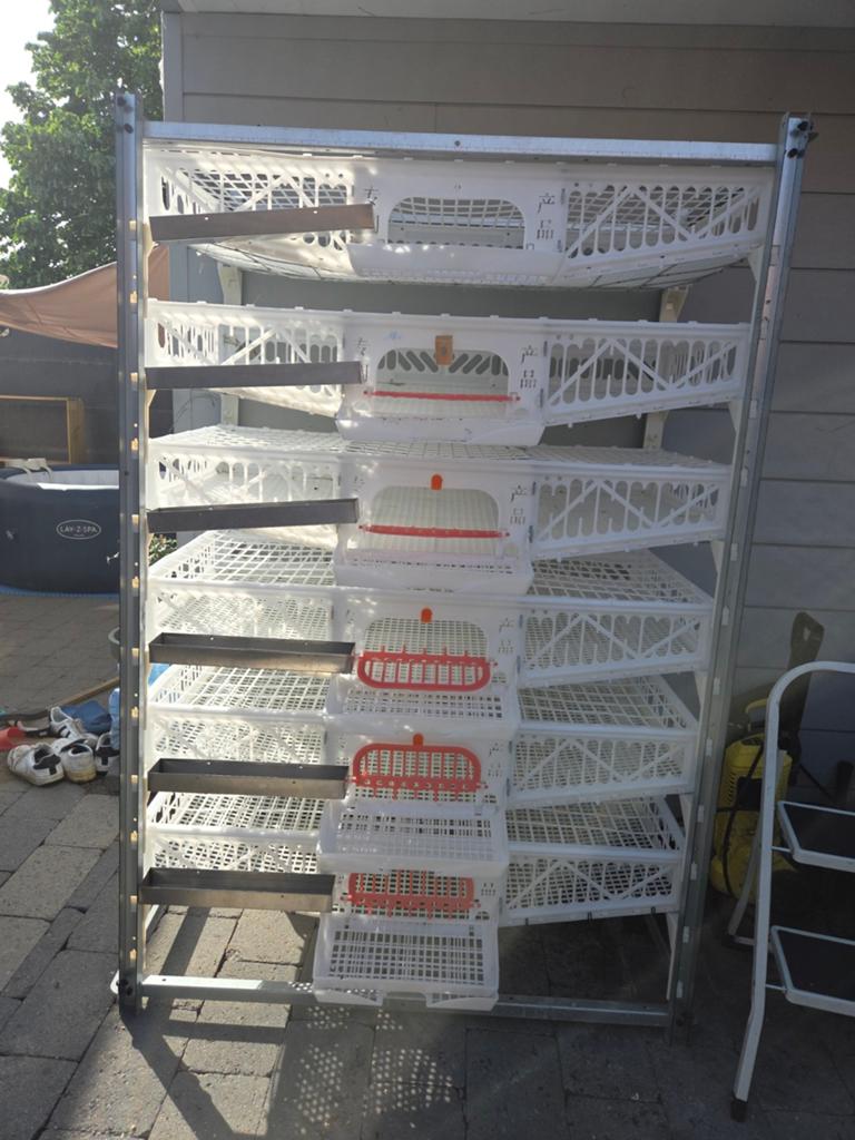 Cages d'élevage de cailles — Batterie professionnelle à 6, Animaux & Accessoires, Volatiles