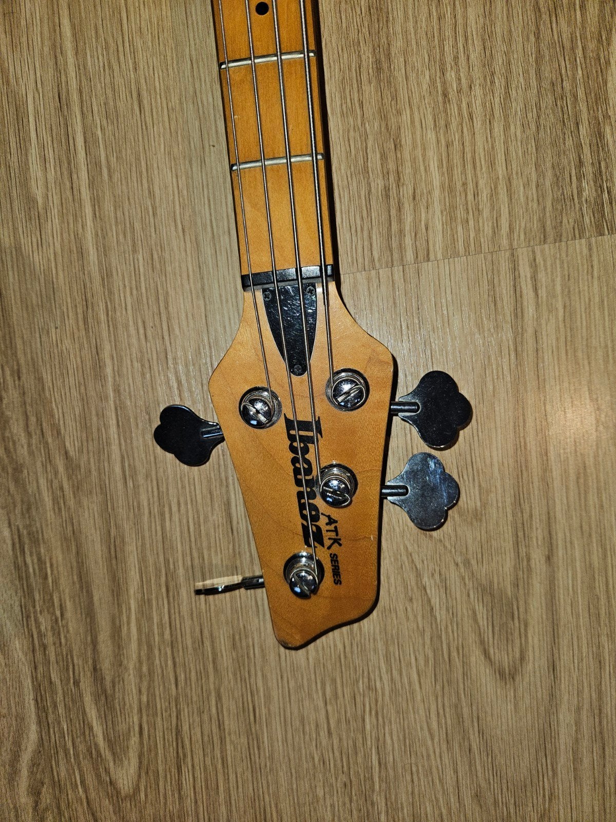 Ibanez ATK, Musique & Instruments, Enlèvement