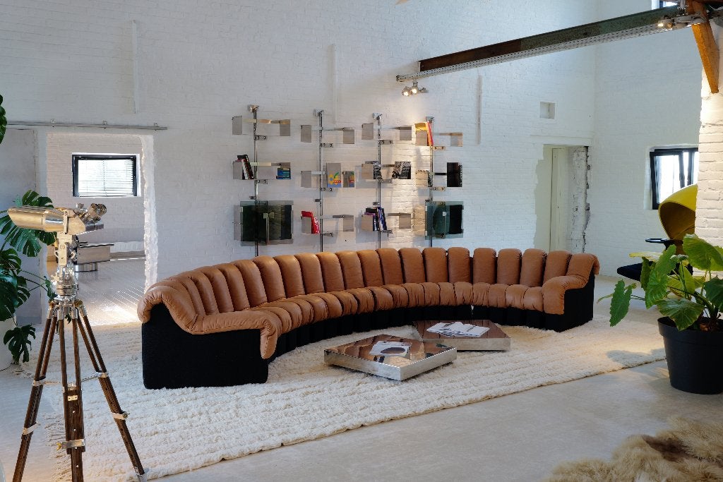De iconische "Snake sofa" De Sede DS600, Ophalen of Verzenden