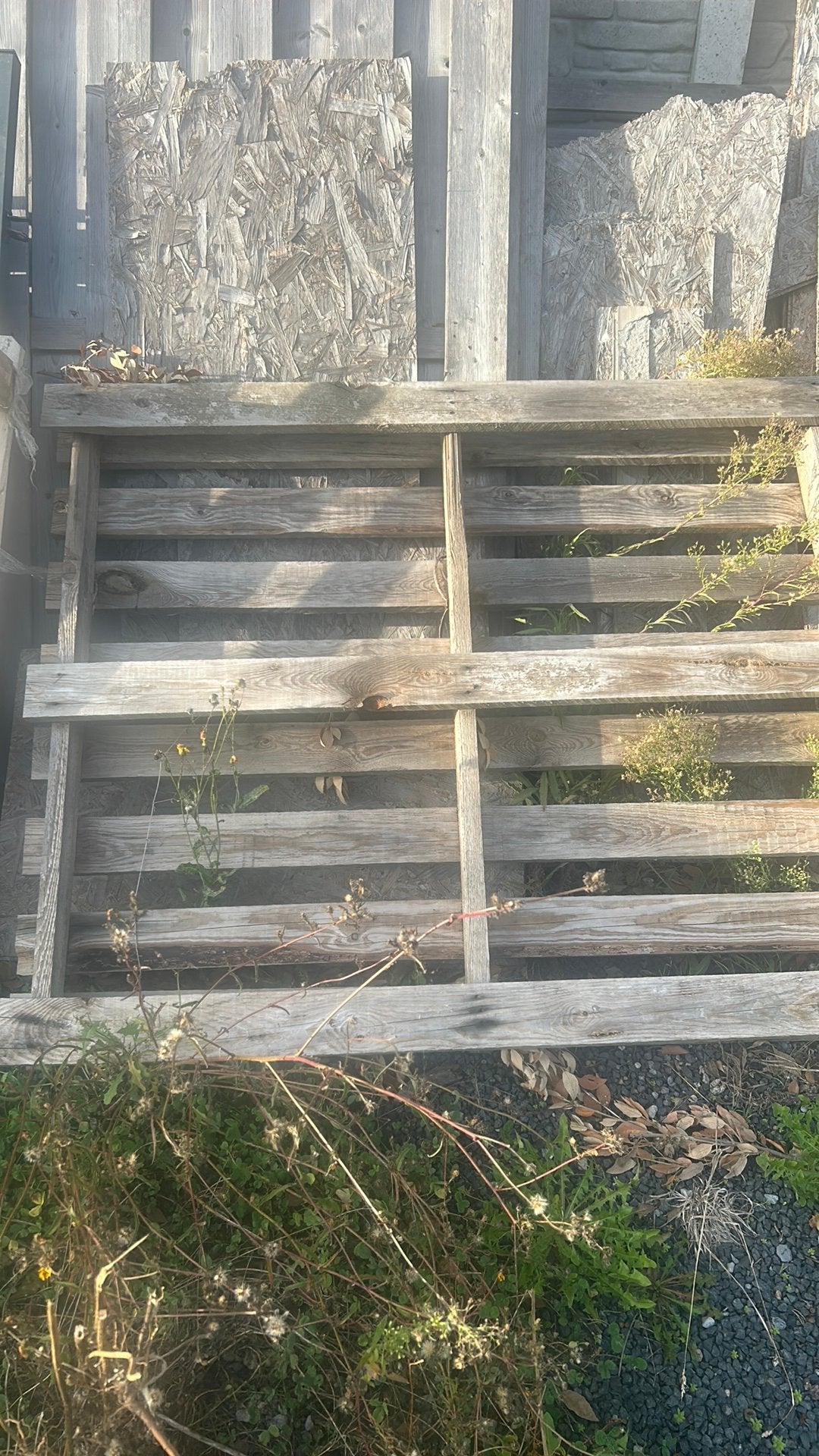 Palletes en bois a donner gratuit et bois, Ophalen, Zo goed als nieuw