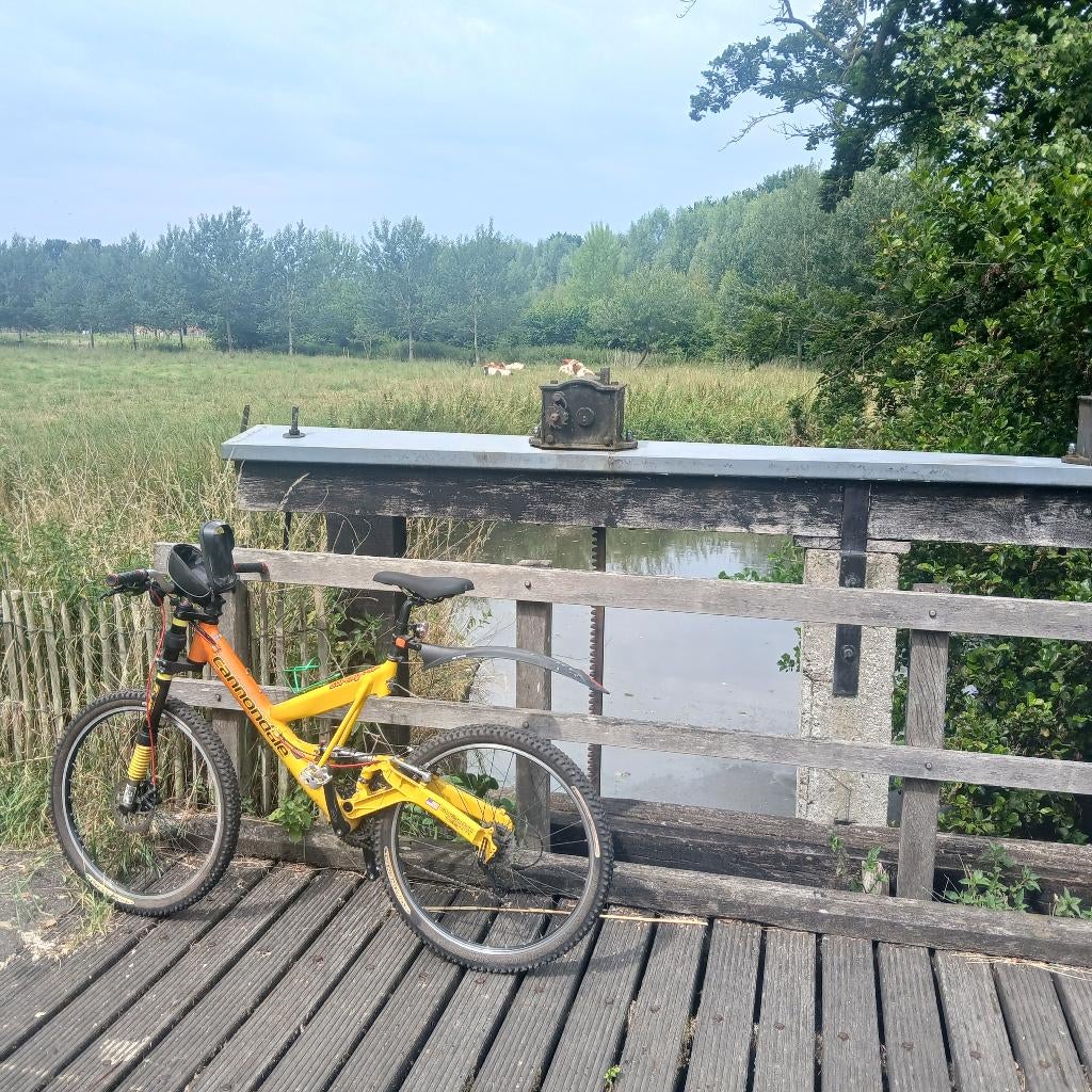 Cannondale mtb, Fietsen en Brommers, Fietsen | Mountainbikes en ATB, Zo goed als nieuw, 53 tot 57 cm, Ophalen, Overige merken
