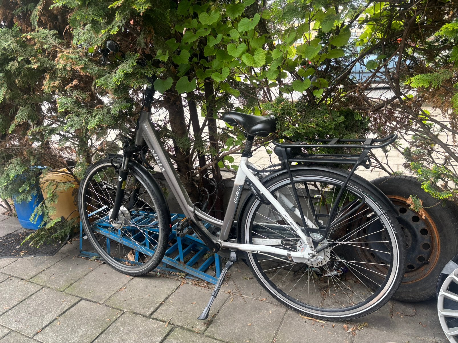 Stella livorno, Ophalen, Zo goed als nieuw
