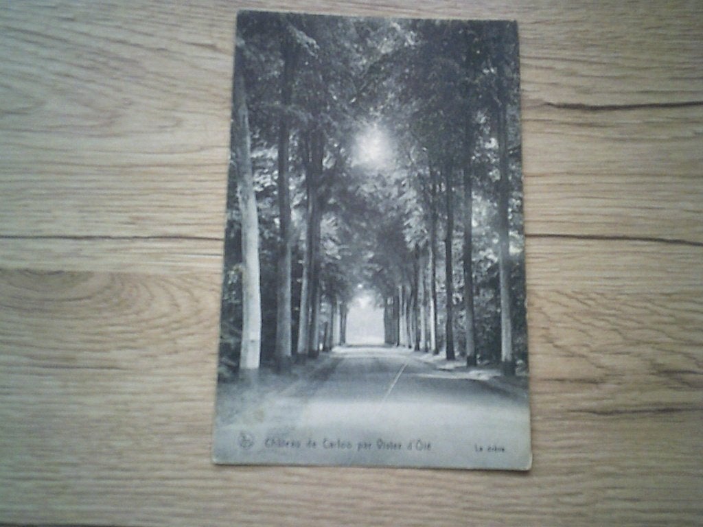 UCCLE / VIVIER D'OYE: Château de Carloo - La drève, Enlèvement ou Envoi, Avant 1920, Affranchie, Bruxelles (Capitale)
