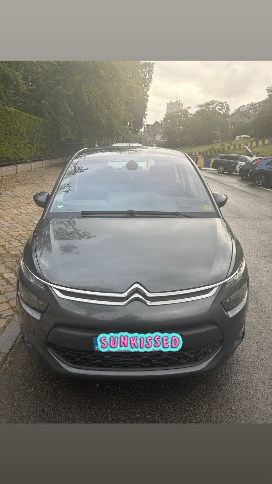 C4 picasso, Achat, Air conditionné, Particulier, C4