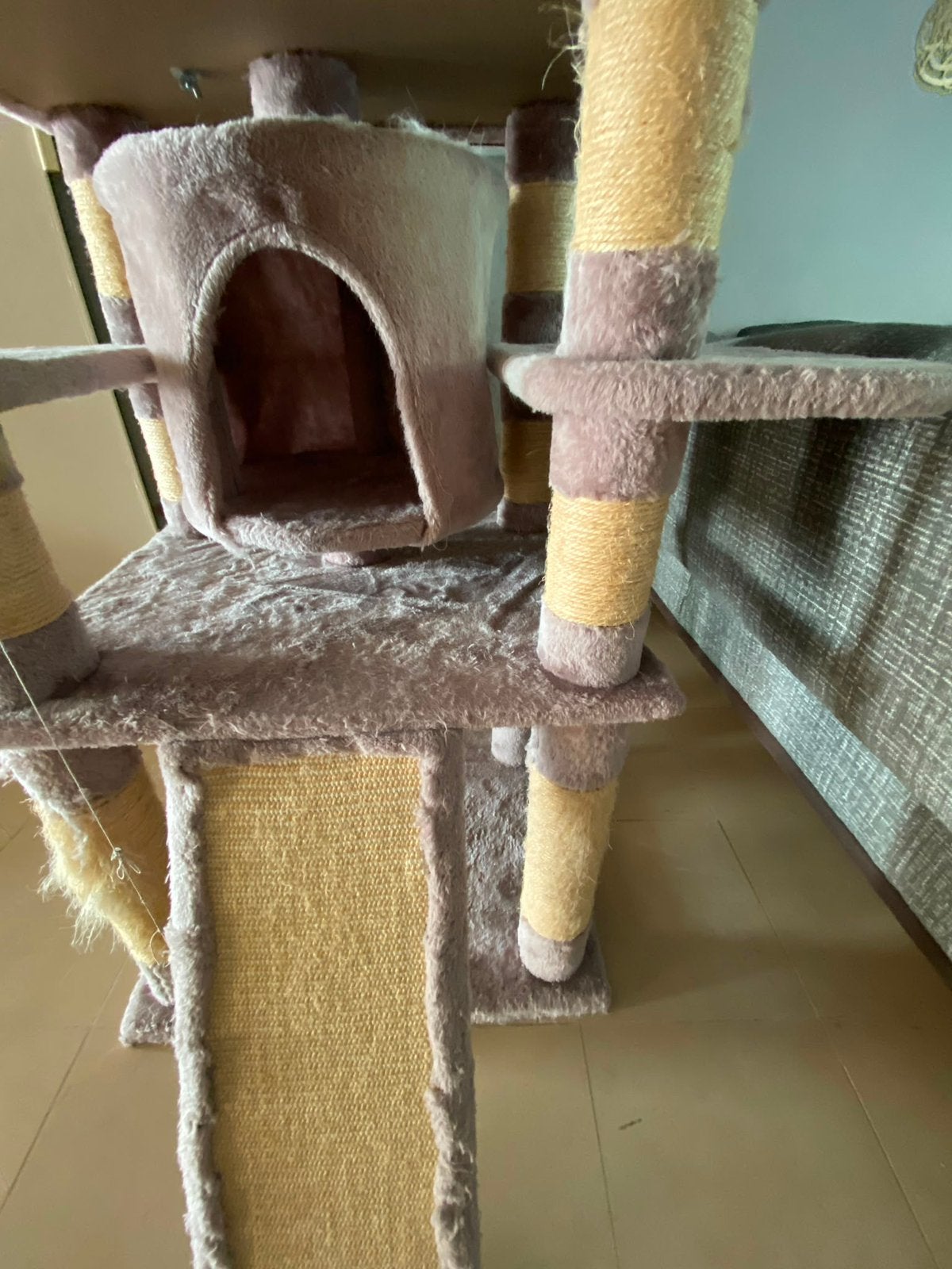 Lit pour chat, Animaux & Accessoires, Enlèvement, Utilisé, Griffoir