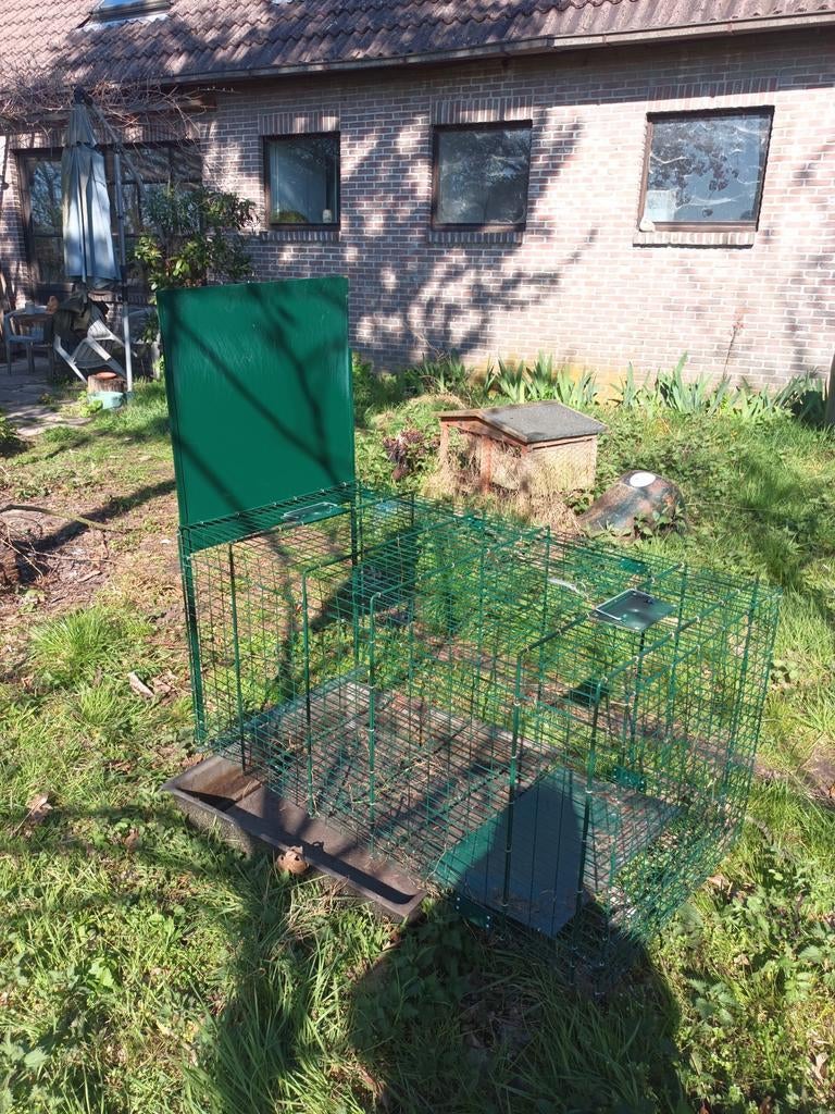 Piège à renard et chien, Enlèvement
