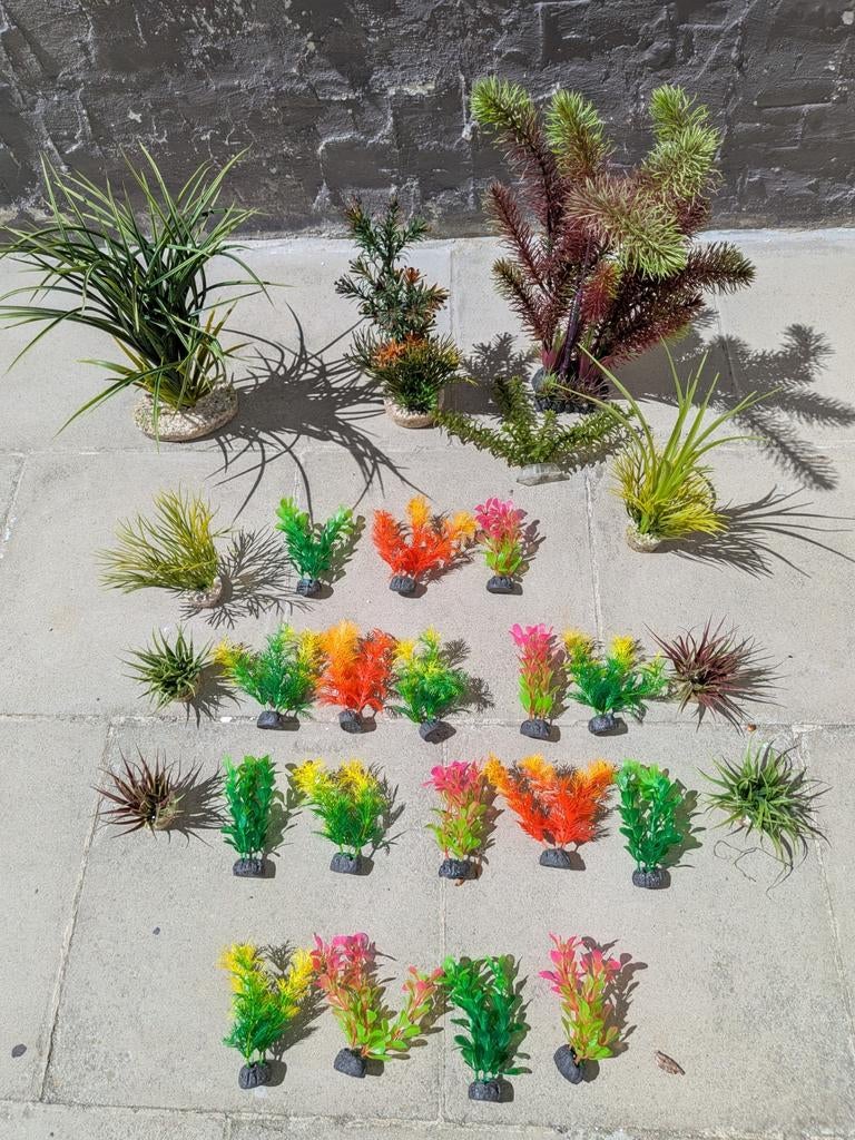 Lot Aquariumdecoratie (€15 alles samen), Ophalen of Verzenden