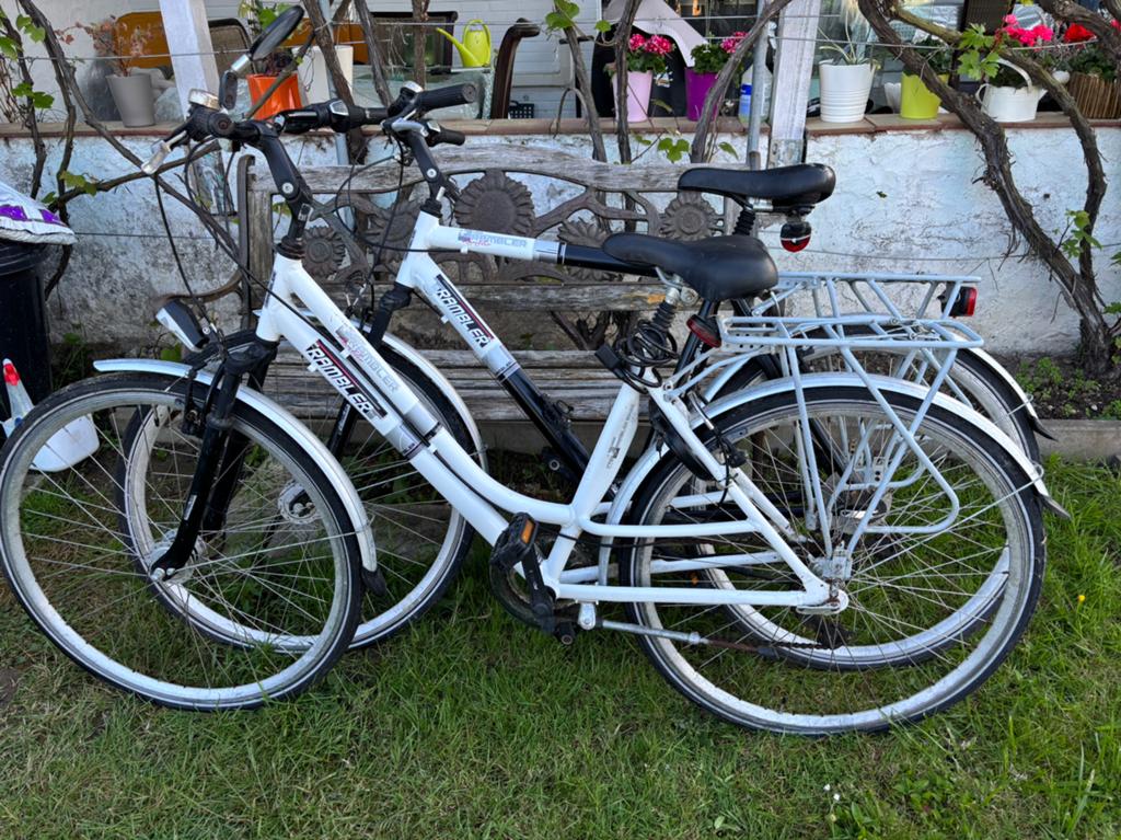 2 fietsen: dames en mannen, Gebruikt, Velgrem, Versnellingen, Ophalen