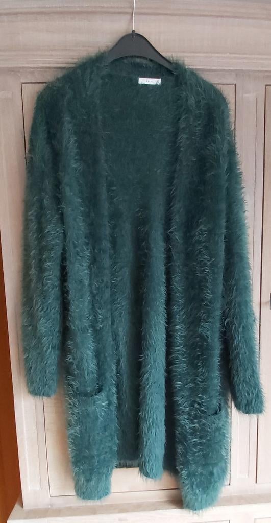 Groene fluffy gillet maat XL Miss Etam, Ophalen of Verzenden, Maat 46/48 (XL) of groter