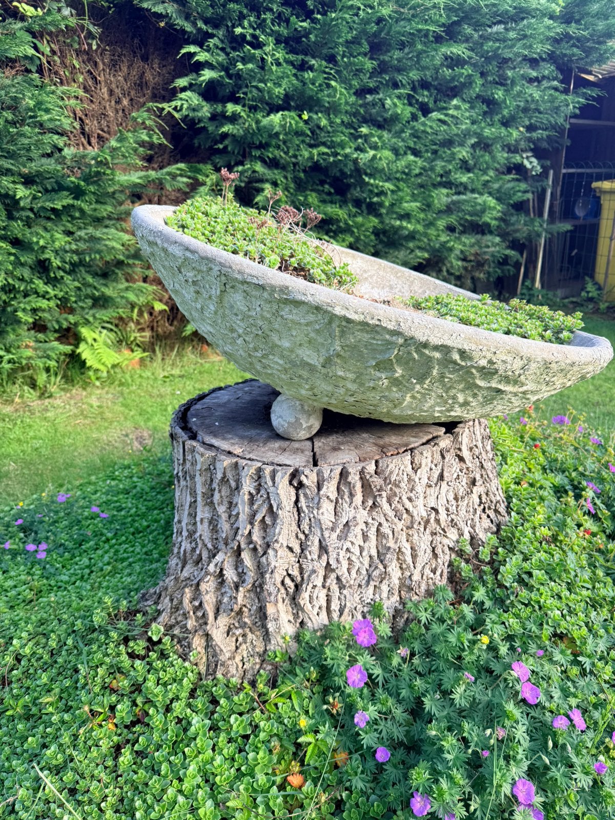 Betonnen schaal, Tuin en Terras, Bloembakken en Plantenbakken, Ophalen, Gebruikt, Beton