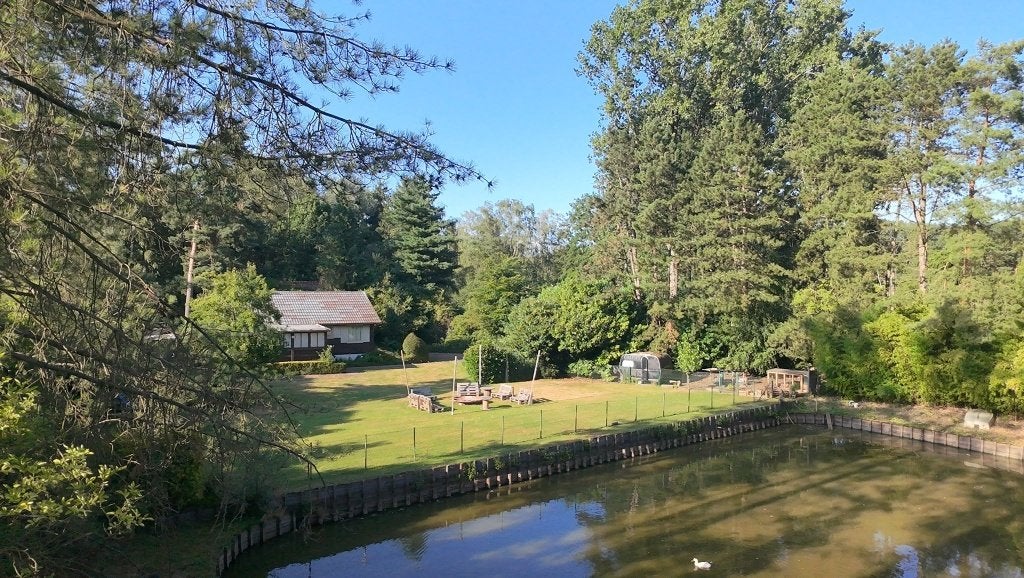 Mooi natuurdomein met vergunde chalet en vijver (4248m²), 100 m², Province d'Anvers, Ventes sans courtier, MEERHOUT