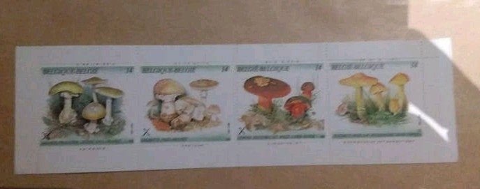 feuille de timbres champignons, Enlèvement
