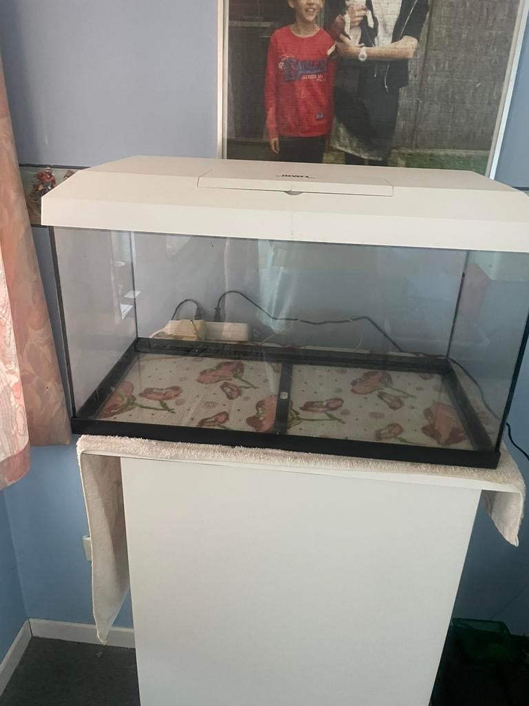Juwel aquarium 60 cm, Dieren en Toebehoren, Ophalen, Zo goed als nieuw, Filter, Juwel