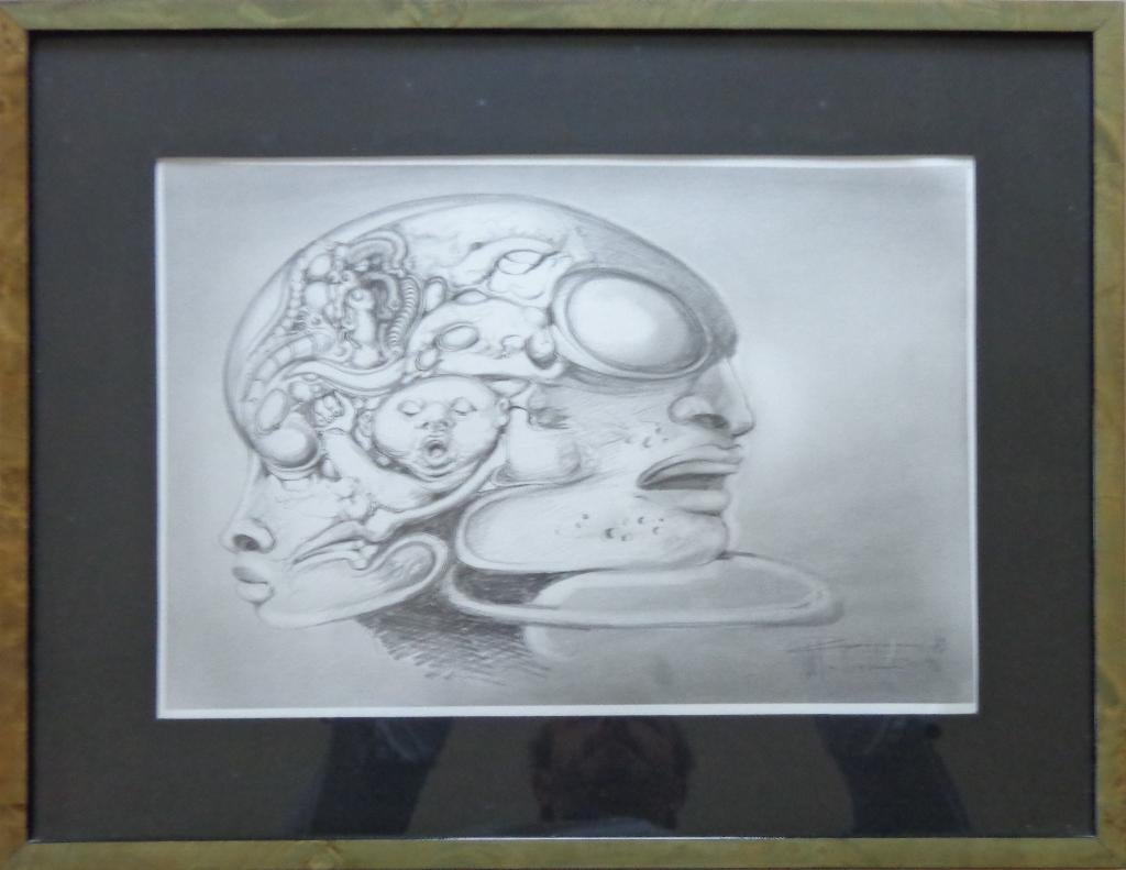 ROGER VAN BELLEGHEM / HOOFDEN / ORIGINEEL / 41x53cm / KADER, Antiquités & Art, Art | Dessins & Photographie, Enlèvement ou Envoi