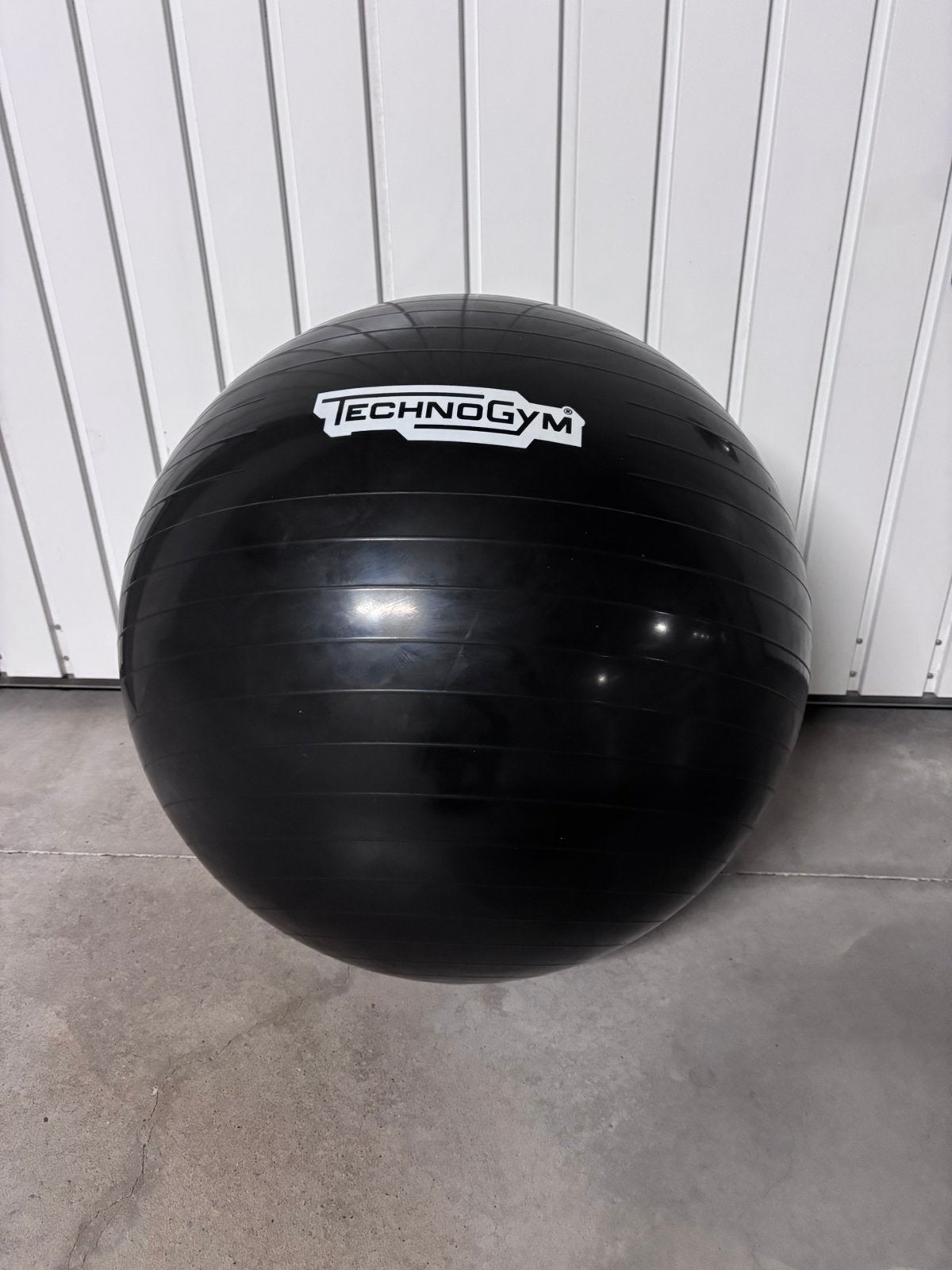 Technogym Training Ball, Sports & Fitness, Enlèvement, Utilisé, Boule