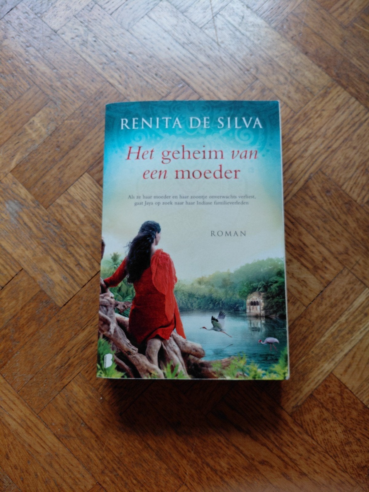 Renita De Silva: Het geheim van een moeder, Ophalen of Verzenden, Gelezen