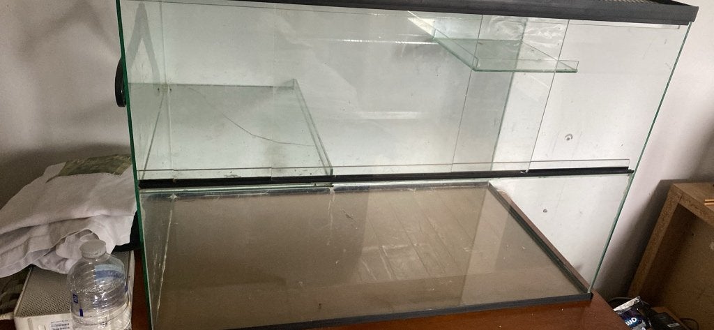 Terrarium, Ophalen, Gebruikt, Terrarium of Paludarium