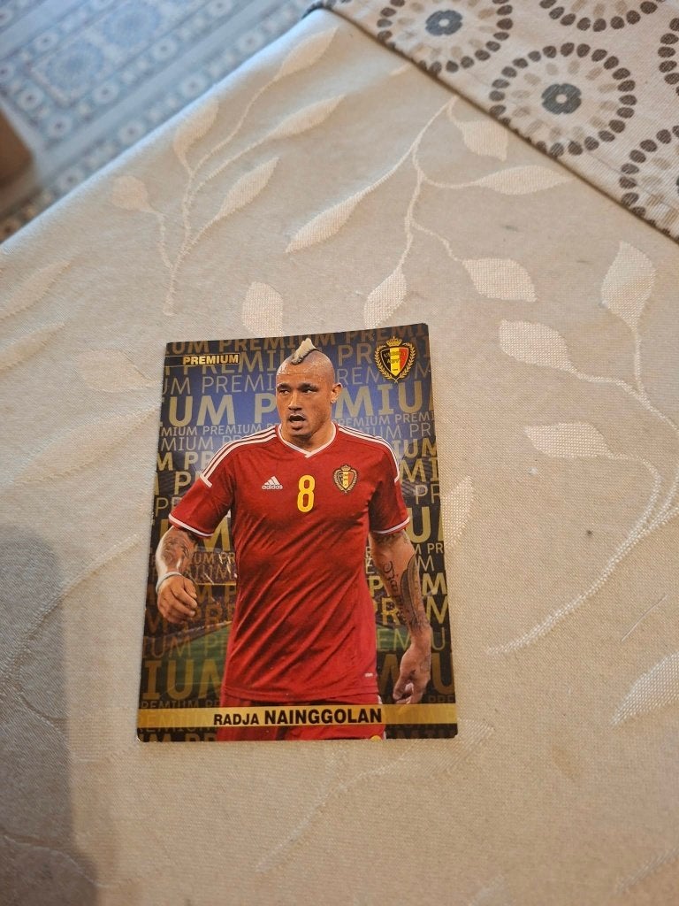 Panini / Voetbalkaart :Radja Nainggolan/Rode Duivels/EK 2016, Enlèvement ou Envoi, Comme neuf, Affiche, Image ou Autocollant